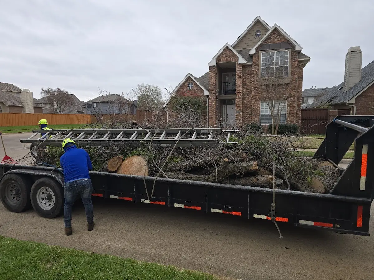 Expert Tree Fertilization with proper safety equipment in Jessie